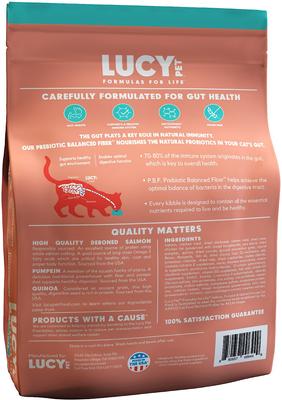 formulas for Life Salmon, Pumpkin & Quinoa formula Grain-Free Dry Cat Food, 10-lb bag