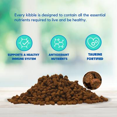 formulas for Life Salmon, Pumpkin & Quinoa formula Grain-Free Dry Cat Food, 10-lb bag