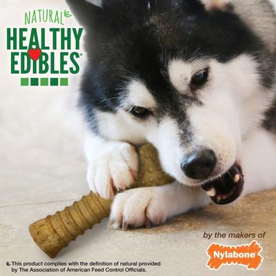 Healthy Edibles All-Natural Long Lasting Peanut Butter Flavor Dog Chew Treats, 1 count, X-Large/Souper