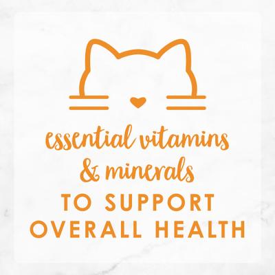 Sliced Turkey Feast in Gravy Canned Cat Food, 3-oz, case of 24