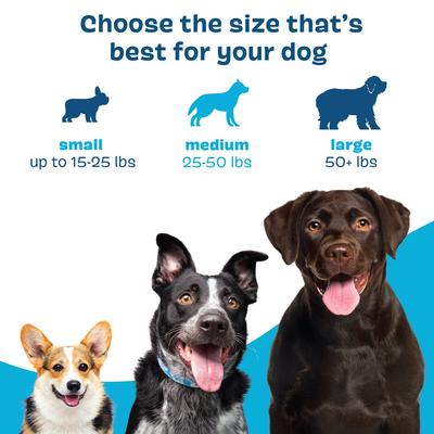 Bright Dental Kit: Small Chicken Flavored Dental Dog Treats + Chicken & Thyme Flavored Dog Dental Gel, 30 count, 1.9-oz gel, bundle of 2