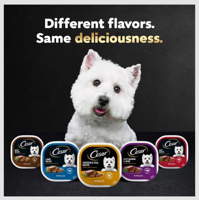 Poultry Variety Pack with Real Chicken, Turkey & Duck Grain-Free Small Breed Adult Wet Dog Food Trays, 3.5-oz, case of 24