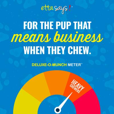 Deluxe Hide-Free Long-Lasting 7" Chicken Recipe Dog Chew