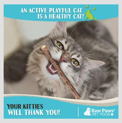 Silvervine Sticks Cat Chew Toy, 30 count