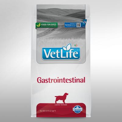 Gastrointestinal Canine Dry Dog Food, 26.4-lb bag