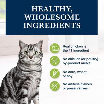 GI Gastrointestinal Support Grain-Free Dry Cat Food, 7-lb bag