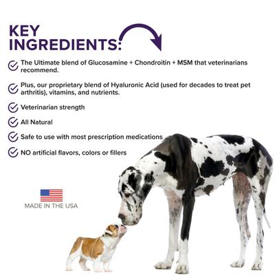 Early Stage Chewable Tablet Joint Supplement for Dogs, 60 count