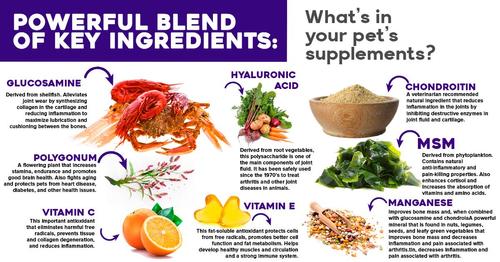 Early Stage Chewable Tablet Joint Supplement for Dogs, 60 count