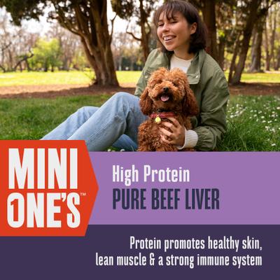 Mini One's Beef Liver Training Dehydrated Treats for Dogs, 6-oz bag