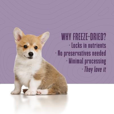 Mini One's Beef Liver Training Dehydrated Treats for Dogs, 6-oz bag