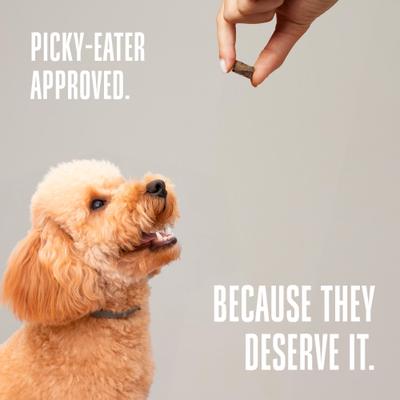 Mini One's Beef Liver Training Dehydrated Treats for Dogs, 6-oz bag