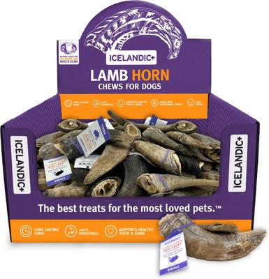 Lamb Horn with Marrow Dog Chew, 4-in, Small