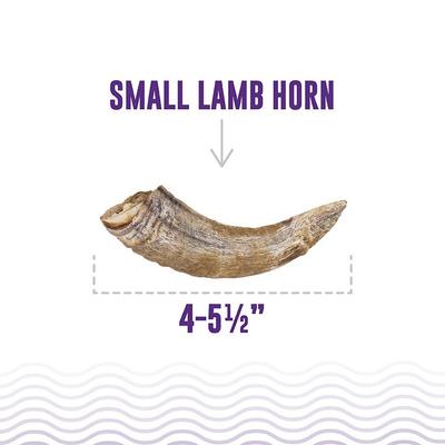 Lamb Horn with Marrow Dog Chew, 4-in, Small
