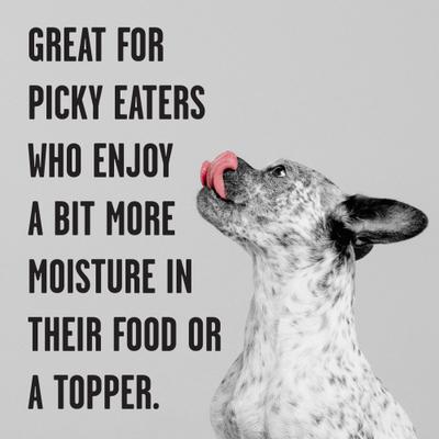 Rawbble Grain-Free Canned Lamb Recipe Wet Dog Food, 12.5-oz can, case of 12