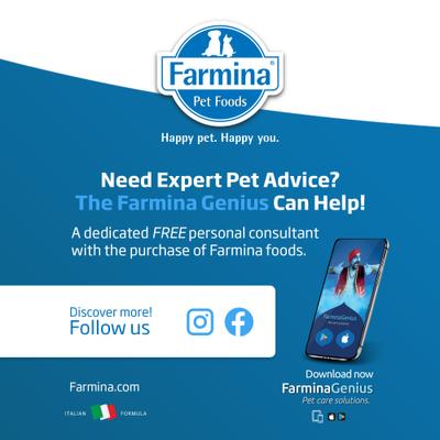 Derma Man Fish Canine Dry Dog Food, 26.4-lb bag