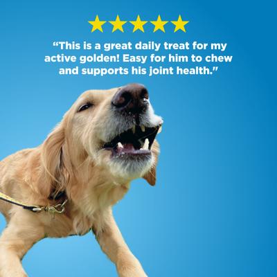 Bully Sliders Natural Dehydrated Dog Treats, 10 count