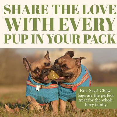 Chew! Premium Crunchy Buffalo Recipe Grain-Free Dog Treats, 4.5-oz bag