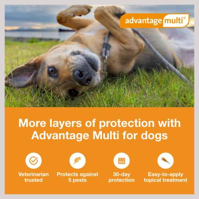 Topical Solution for Dogs, 20.1-55 lbs, (Red Box), 6 Doses (6-mos. supply)