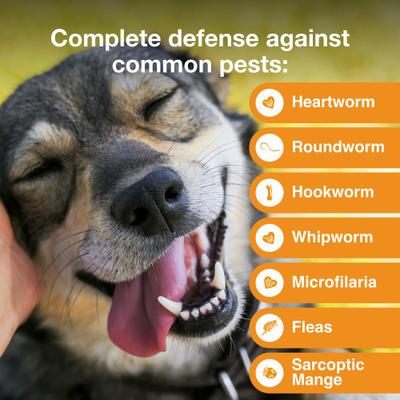 Topical Solution for Dogs, 20.1-55 lbs, (Red Box), 6 Doses (6-mos. supply)