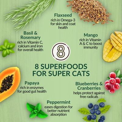 Pasture New Zealand Lamb Grain-Free Complete Cat Health Dry Cat Food, 4-lb bag