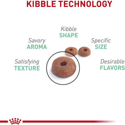 Feline Care Nutrition Digestive Care Adult Dry Cat Food, 3-lb bag