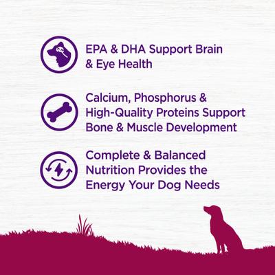 Small Breed Complete Health Puppy Turkey, Oatmeal & Salmon Meal Recipe Dry Dog Food, 4-lb bag