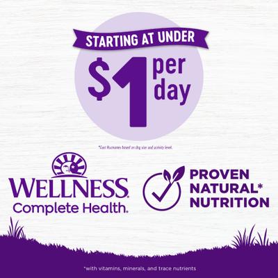 Small Breed Complete Health Puppy Turkey, Oatmeal & Salmon Meal Recipe Dry Dog Food, 4-lb bag