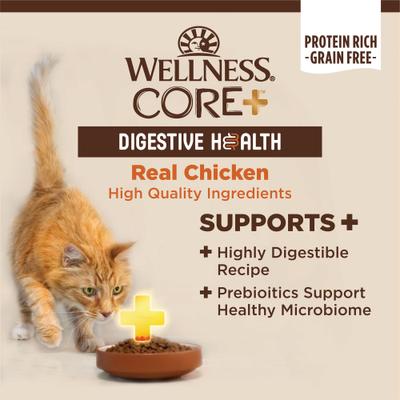 CORE+ Digestive Health Chicken Pate Grain-Free Natural Wet Cat Food, 3-oz can, case of 12