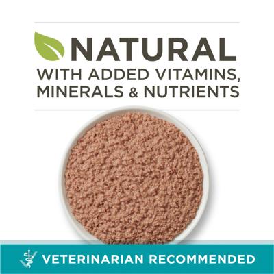 Chicken Recipe Pate Natural Grain-Free Canned Cat Food, 3-oz, case of 24