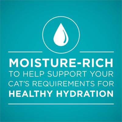 Chicken Recipe Pate Natural Grain-Free Canned Cat Food, 3-oz, case of 24