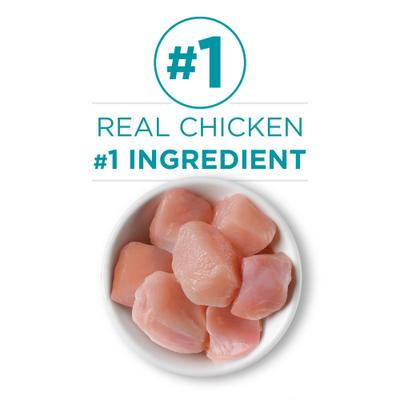 Chicken Recipe Pate Natural Grain-Free Canned Cat Food, 3-oz, case of 24