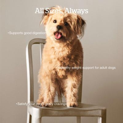 Good Gravy Ancient Grains Adult Chicken Recipe Dry Dog Food, 3.5-lb bag