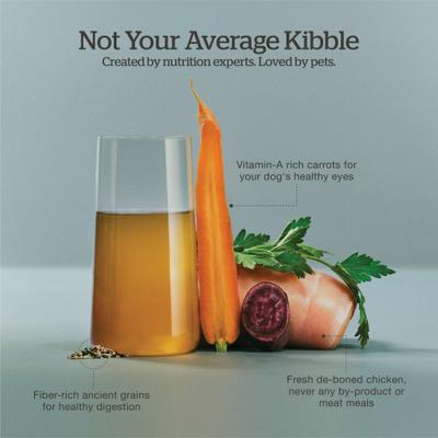 Good Gravy Ancient Grains Adult Chicken Recipe Dry Dog Food, 3.5-lb bag