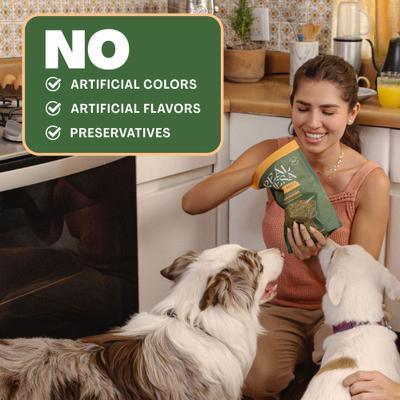 Chicken Kabobs Dog Jerky Treat, 4.5-oz bag