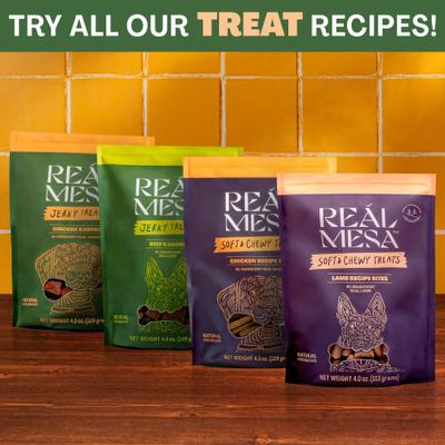 Chicken Kabobs Dog Jerky Treat, 4.5-oz bag