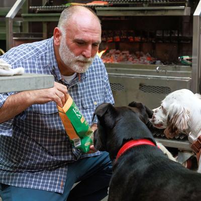 Chicken Kabobs Dog Jerky Treat, 4.5-oz bag