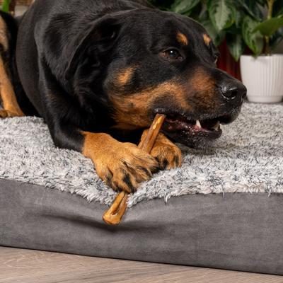 Real Chewz 12-inch Steer Sticks Chewy Dog Treats, 2 count