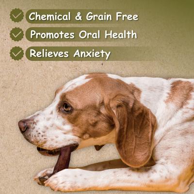 12" Odor-Free Angus Beef Bully Stick Dog Treats, 10 count