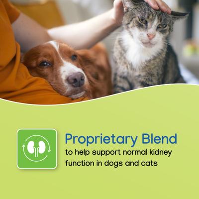 Nephrodyl Synbiotic Capsules for Kidney Support for Dogs & Cats, 60 count