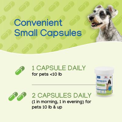 Nephrodyl Synbiotic Capsules for Kidney Support for Dogs & Cats, 60 count