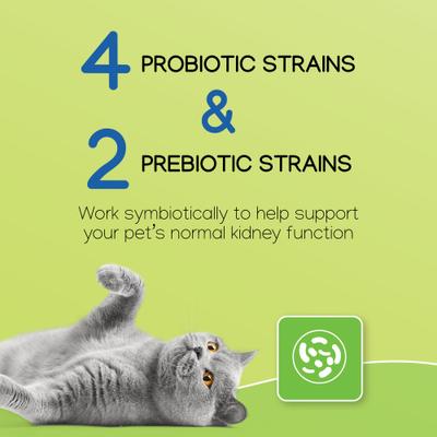 Nephrodyl Synbiotic Capsules for Kidney Support for Dogs & Cats, 60 count