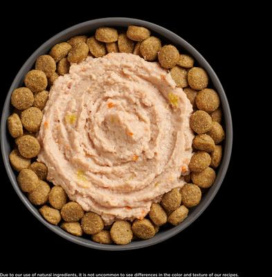 Booster Joint Care Chicken, Salmon & Duck Pate Wet Dog Food, 2.8-oz pouch, 12 count