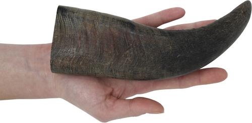 All Natural Premium Water Buffalo Horn Dog Treat, Medium, 1 count