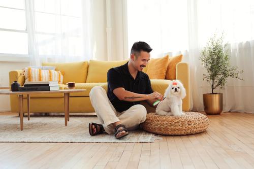 Flea Comb Dog Grooming Tool, Green/White