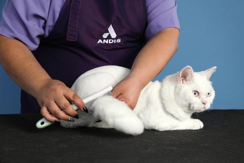 Flea Comb Dog Grooming Tool, Green/White