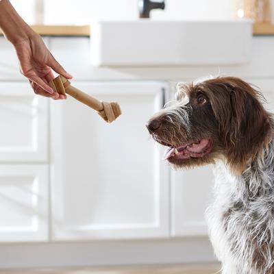 Golosinas para perros con huesos anudados, sin cuero crudo y sabor natural a pollo, tamaño grande, 3 unidades