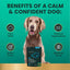 Composure Calm & Confident Clinically Tested Chicken-Flavored Chews Calming & Anxiety Supplement for Dogs, 15 count