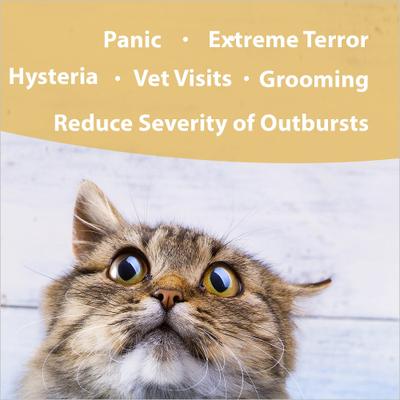 Panic Attack Calming Pet Supplement, 1-fl oz bottle