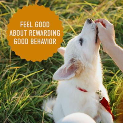 Tricky Trainers with Cheddar Soft & Chewy Dog Treats, 14-oz bag