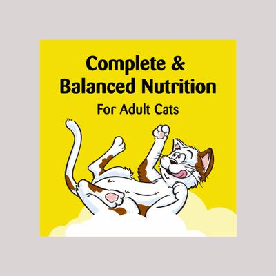 Birthday Lobster & Beef Flavor Soft & Crunchy Cat Treats, 6.3-oz bag